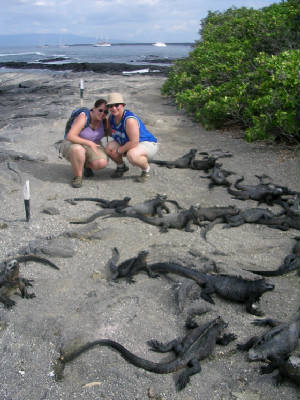 iguanacouple.jpg